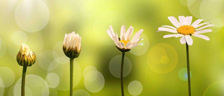 NLP_Coaching_through_NLP